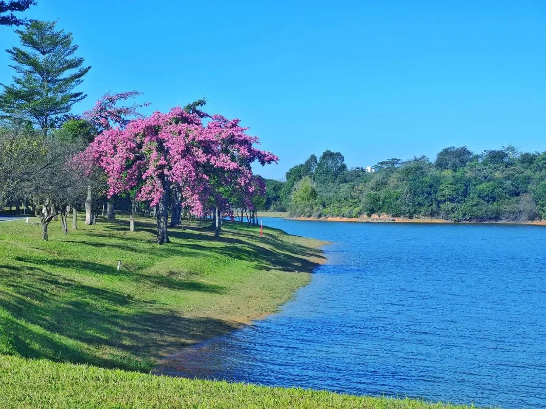 东莞松山湖景点在哪里_1