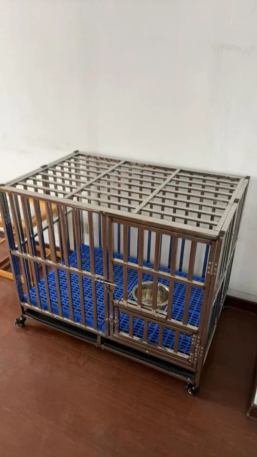 蝴蝶犬买什么样的笼子_2