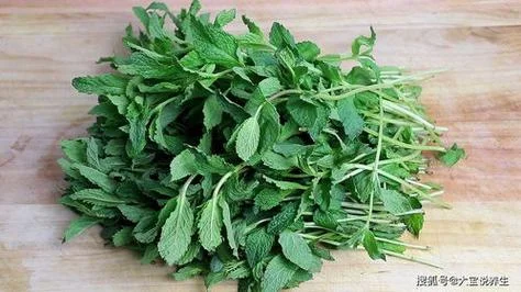 梦见香菜是什么预兆_2