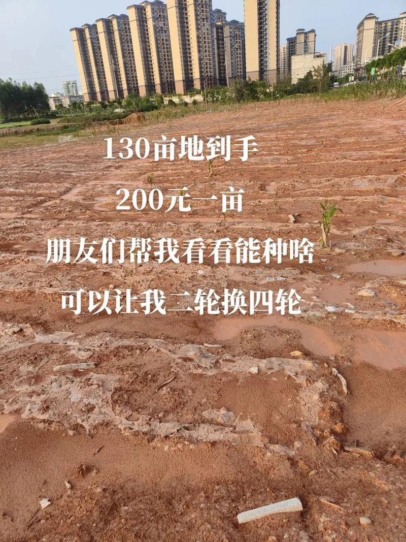 农村卖地多少钱一亩_2