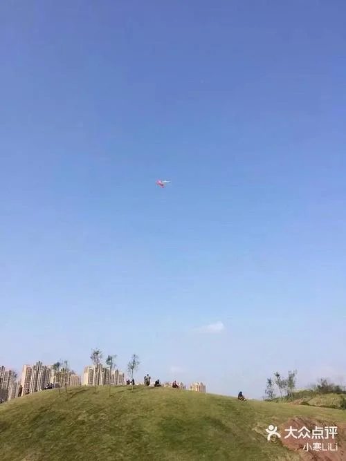 往事随风下一句怎么接-往事随风下一句