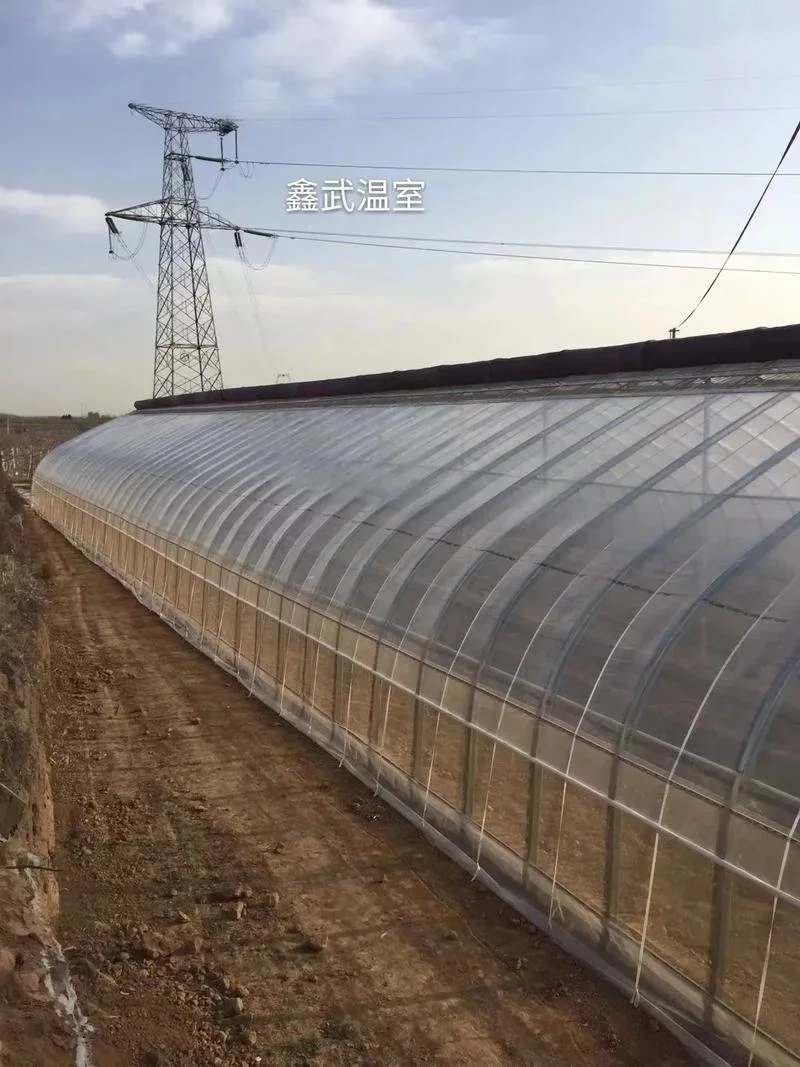 建10亩地智能蔬菜大棚需要多少_2