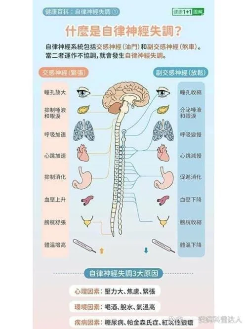 自主神经功能检查原理_2