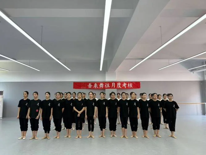 舞蹈艺考集训高考舞蹈培训-舞蹈艺考集训培训