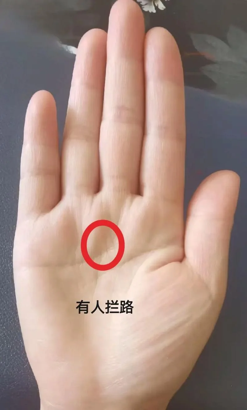 手相 贵人线多_1