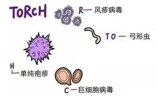 优生十项检查多少钱_2