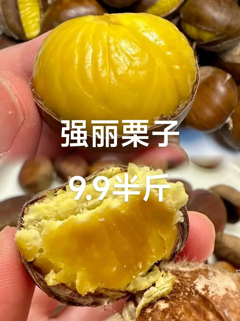炒栗子多少钱一斤_2