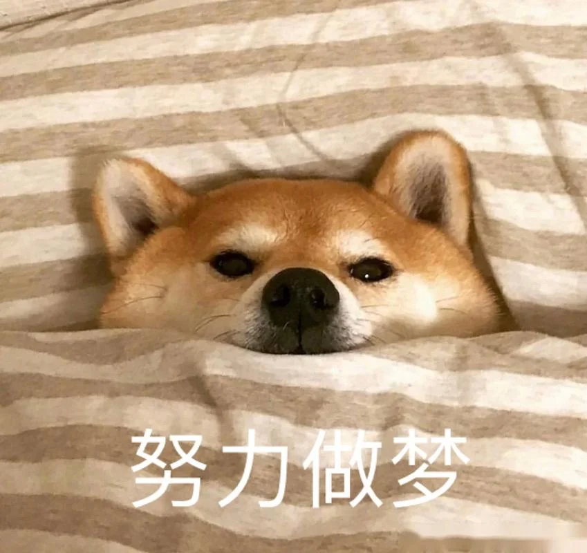 白日做梦打一个动物_2