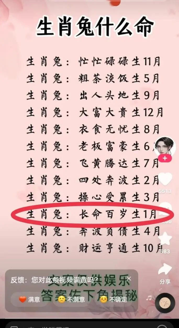属兔的今年多大了2018_1