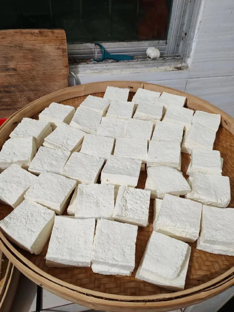 想学做豆腐技术哪里学-豆腐技术学去哪学