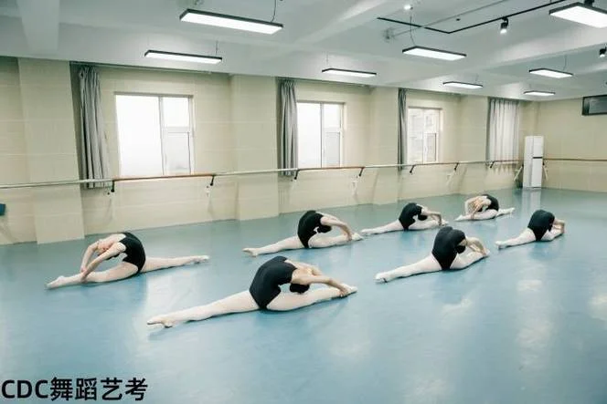 山东舞蹈艺考培训学校-山东舞蹈艺考培训