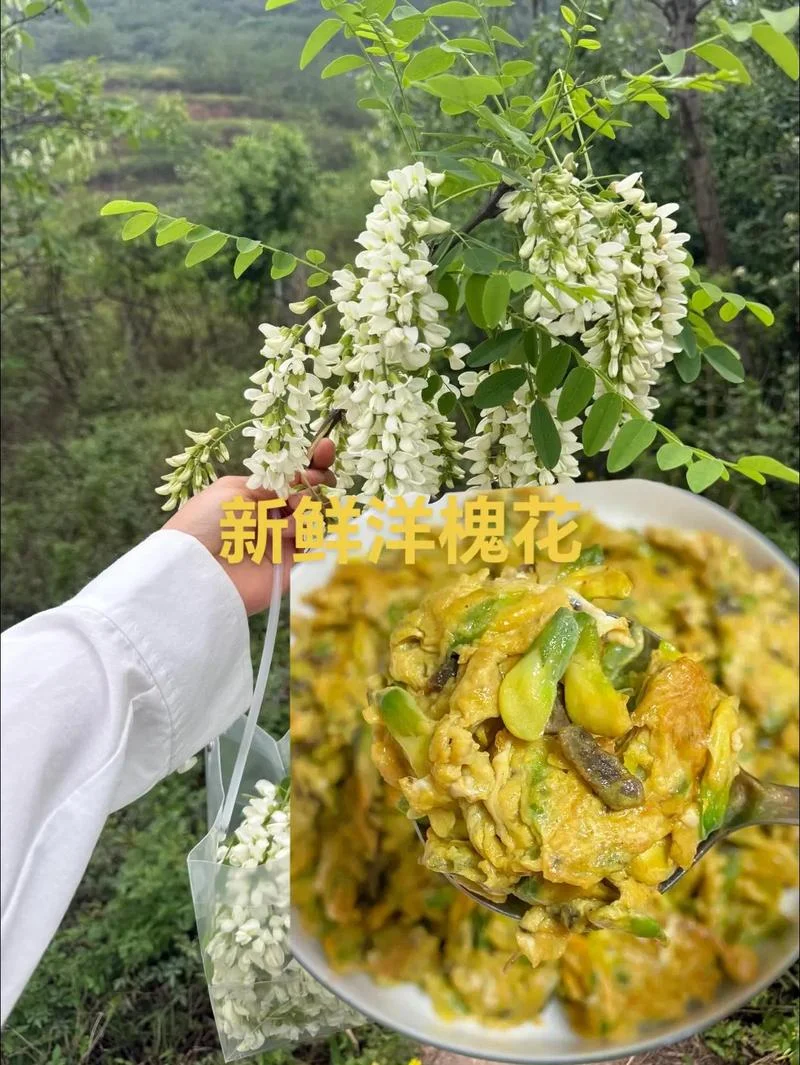 洋槐花几月份可以吃_1