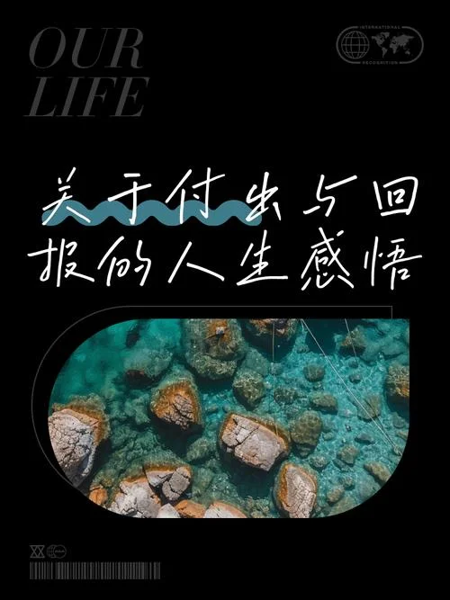 辛苦的付出下一句话-付出艰辛换回报