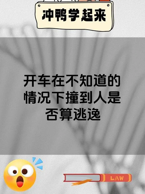 做梦开车撞到人后逃跑_1
