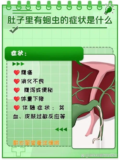 梦见蛔虫有什么预兆_2