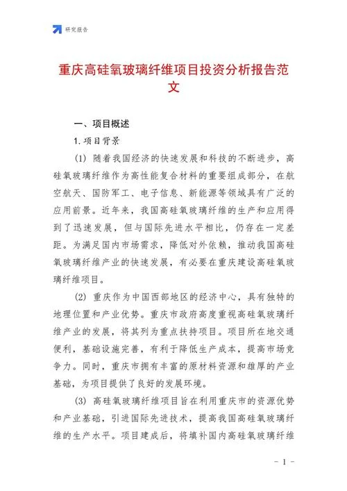 投资公司投资项目简介-