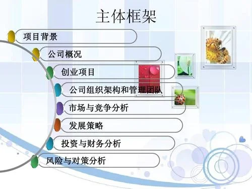 开心农场项目策划案_1