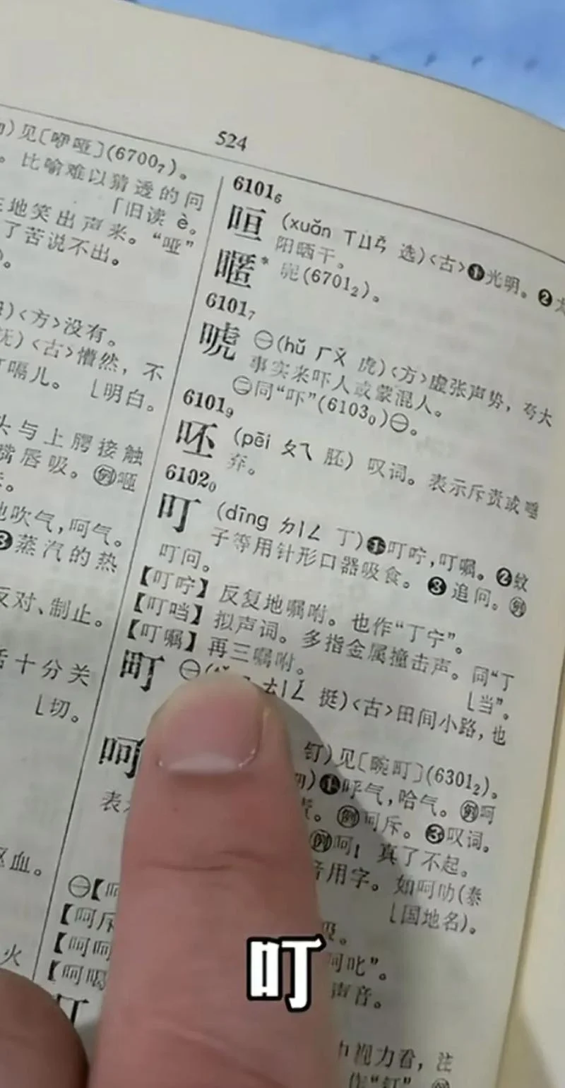 叮叮什么意思_2