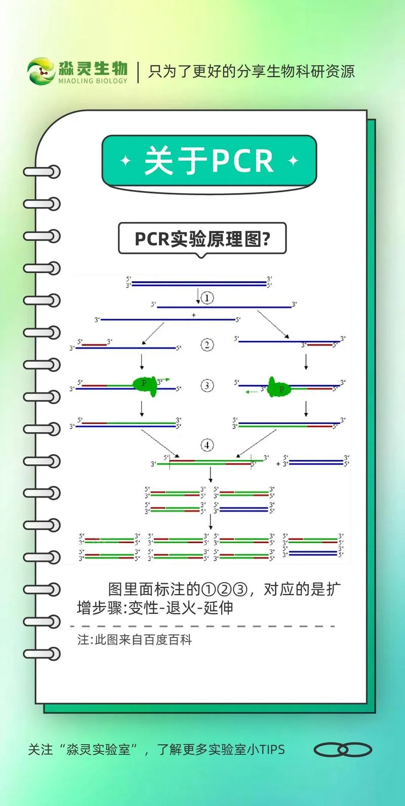 定点突变试剂盒原理_2