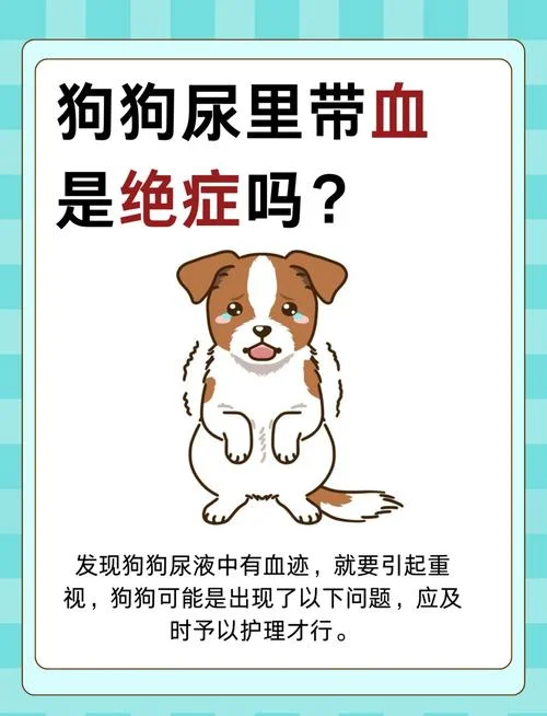 梦见狗尿身上了_1