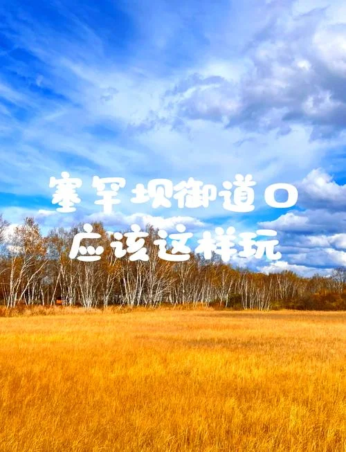 塞罕坝旅游攻略_2
