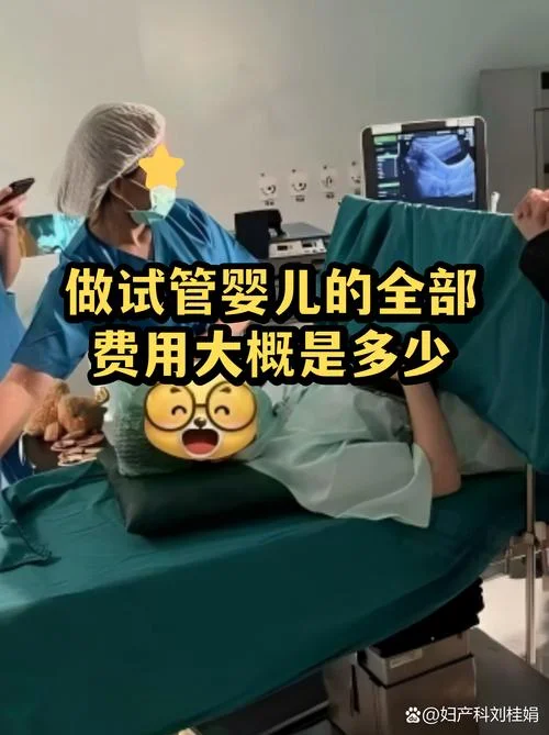 在试管婴儿需要多少钱_2