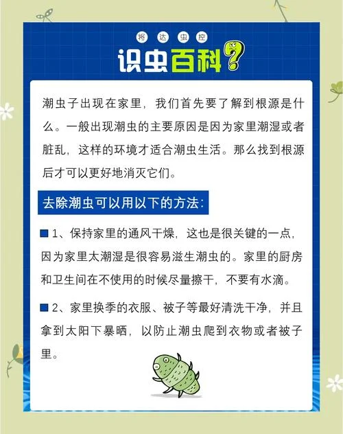 蛀虫的道理10字_2