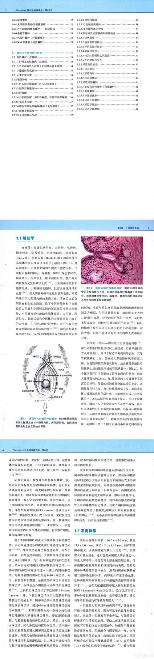 专业生殖理_2