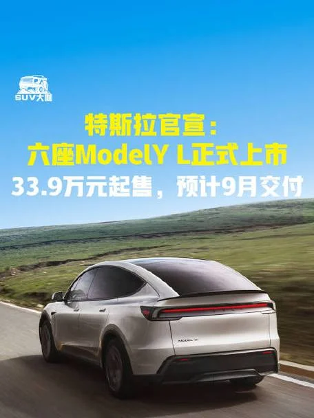 特斯拉蓝牌多少钱一辆_2