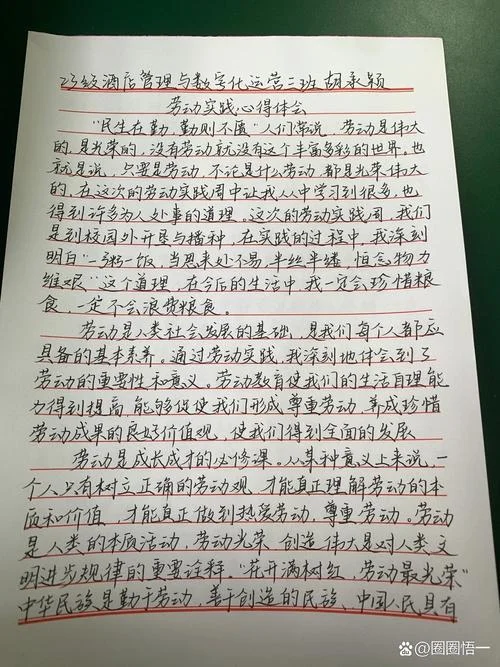 做家务的心得体会500字-家务心得短