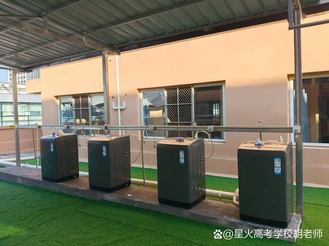 艺考文化集训哪里有-艺考文化集训找机构