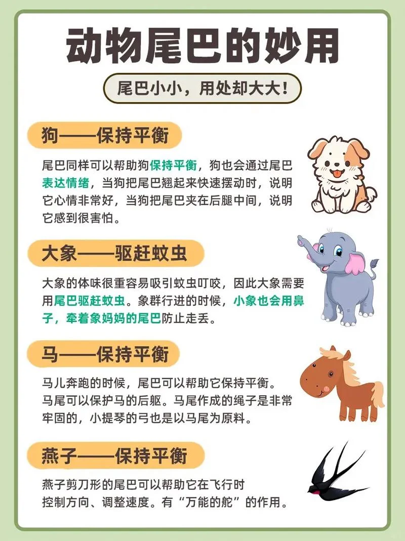 动物小百科介绍的是什么动物-动物小百科介绍动物