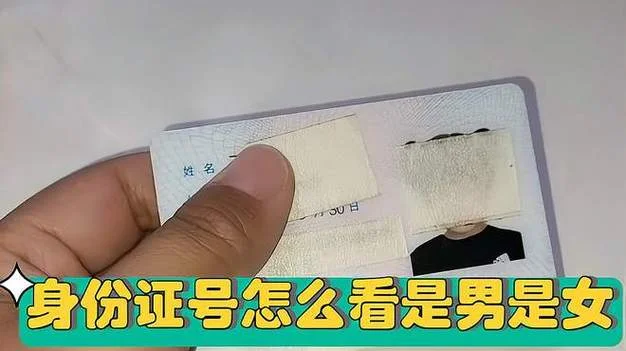 怎么查身份证到哪里_2
