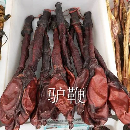 驴鞭多少钱一根_2