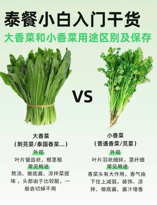 种香菜文案_1