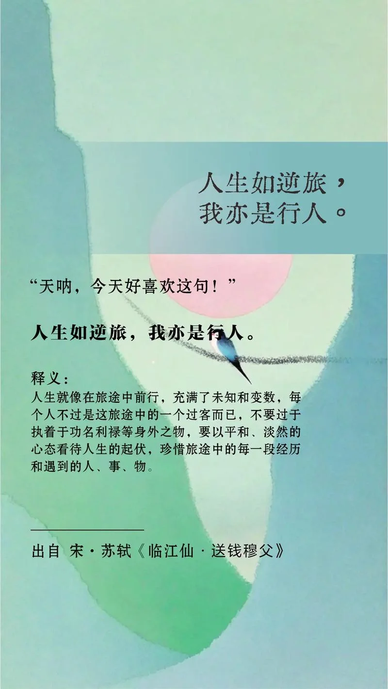 逆行是全责的文案_2