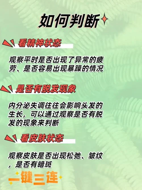 什么是内分泌脱发-内分泌脱发定义
