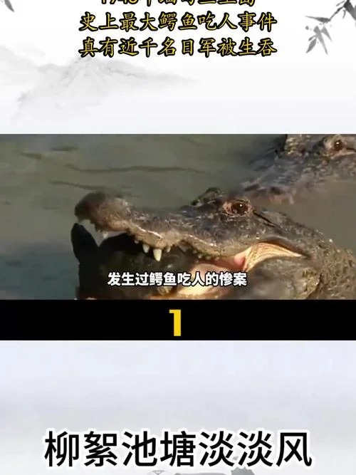 梦见鳄鱼吃人是什么预兆_1