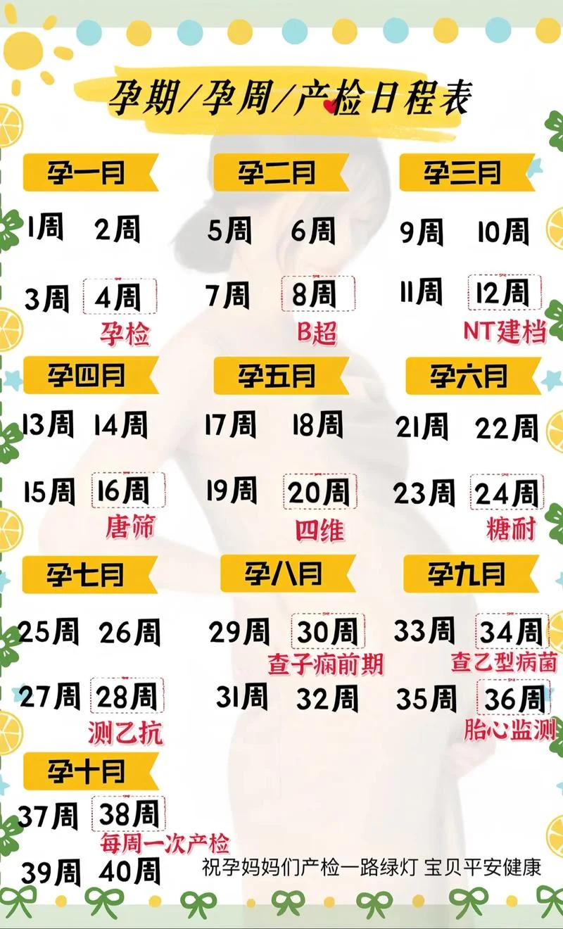 阳历7月怀孕到几月生_2