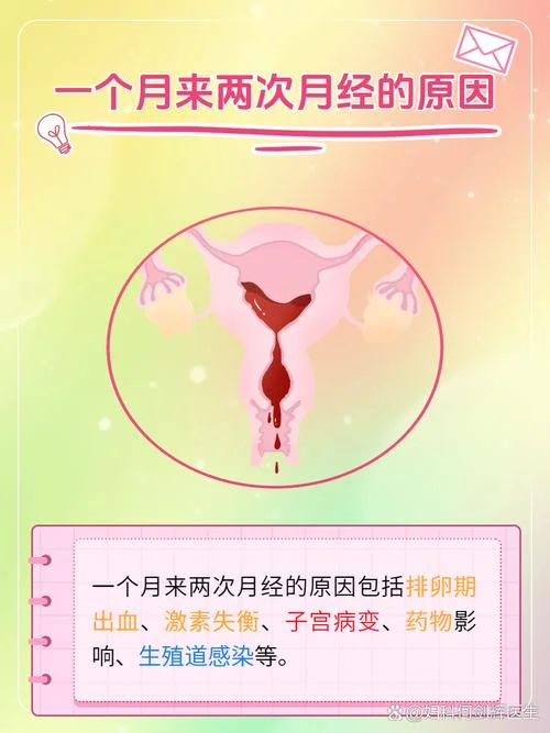 月经的原理_2