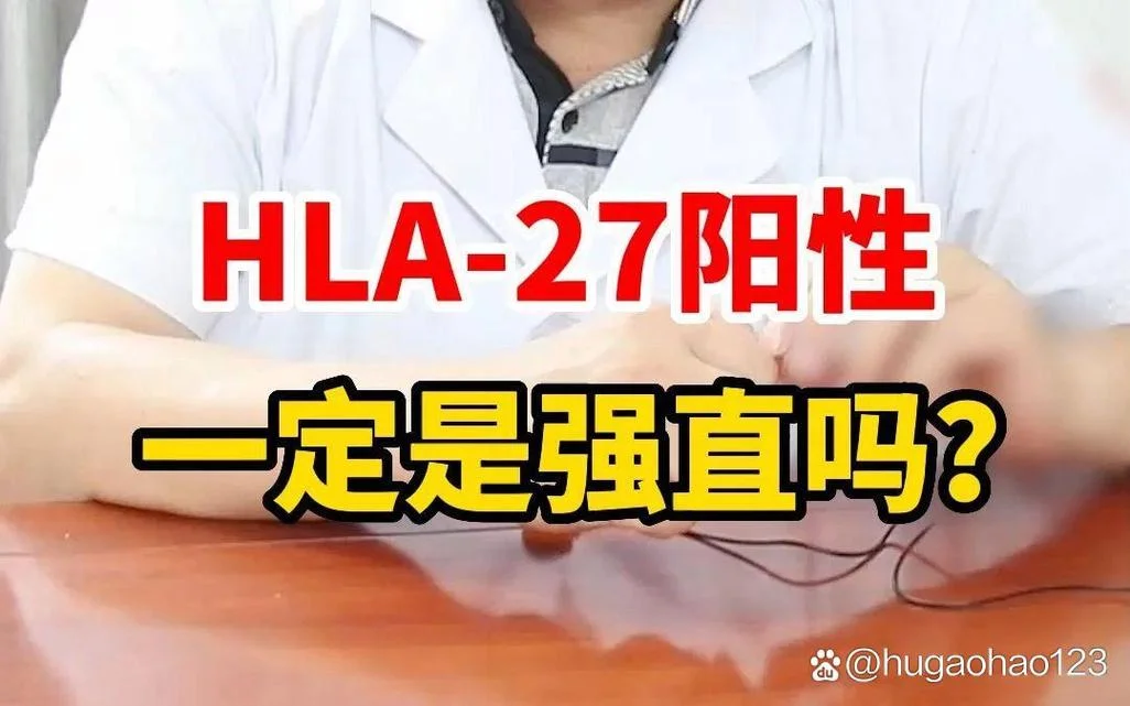 hla是什么意思-HLA全称人类白细胞抗原