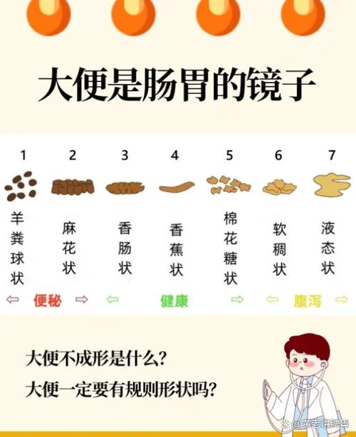 做梦便秘是什么意思_1