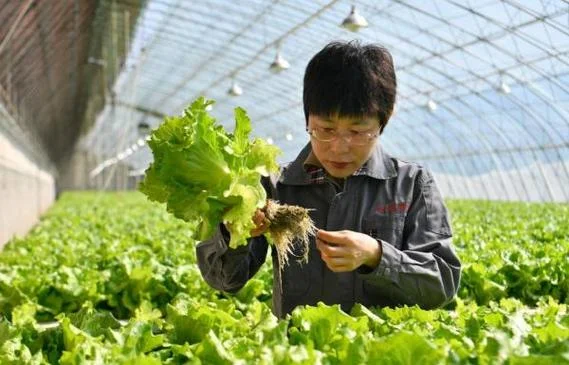 1亩地多少钱天津-