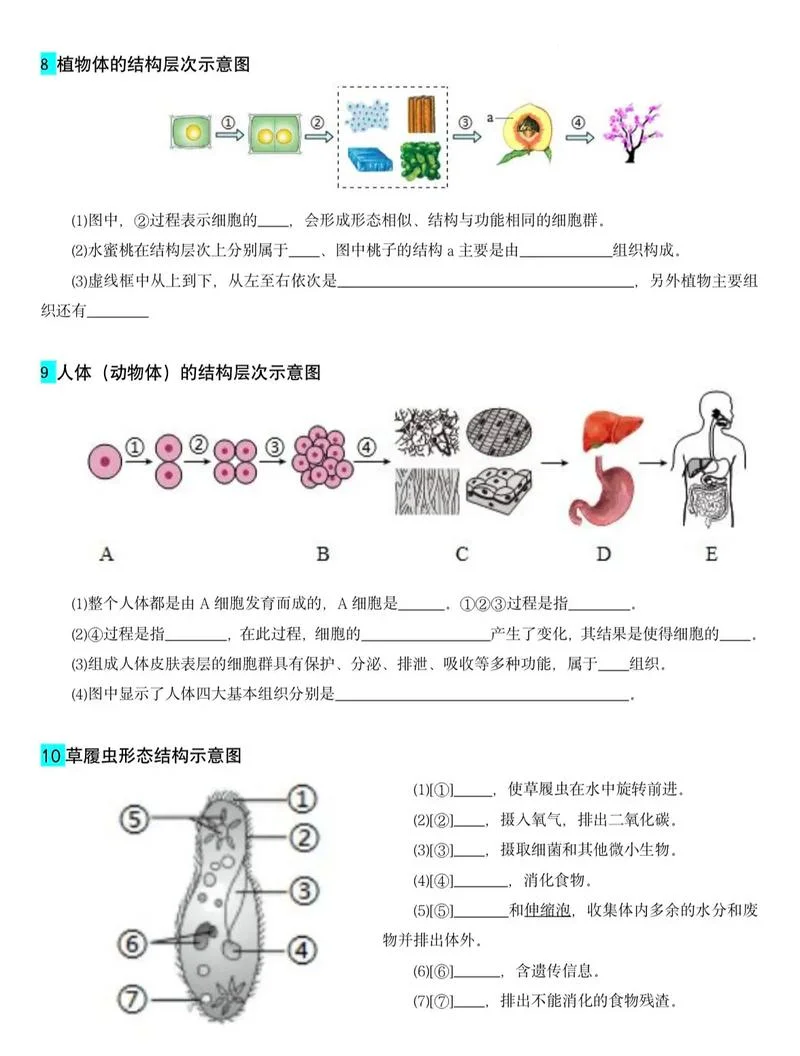 结构生物学是学什么_2