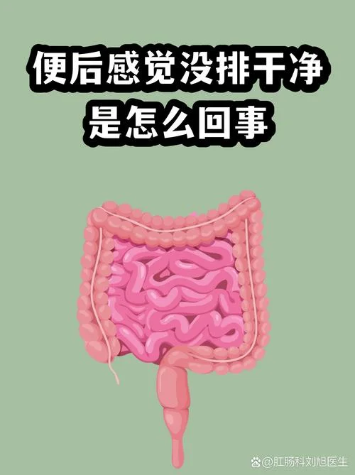 梦见上大厕所没有排便_1