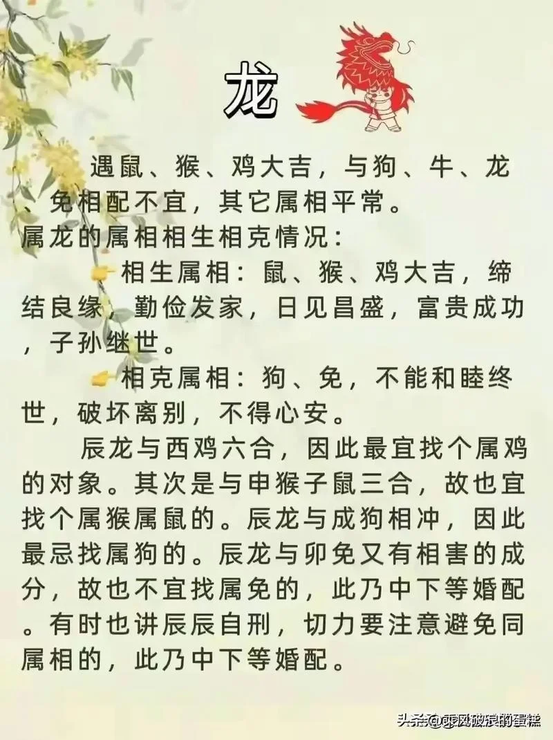 女龙男牛属相合不合-女龙男牛属相合不合