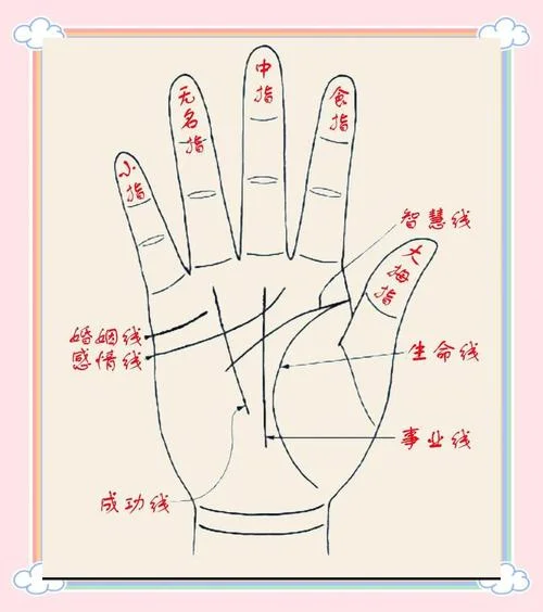看手相的句子_1