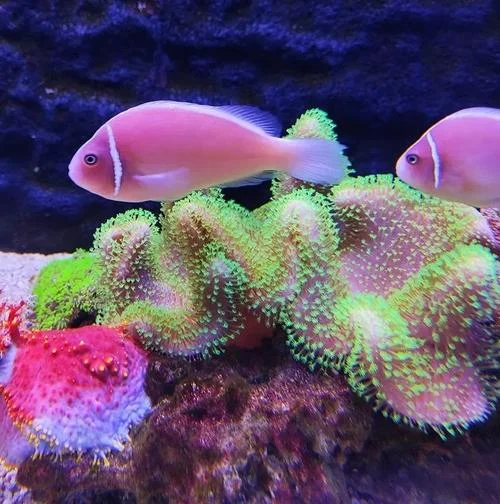 海底世界门票多少钱_2