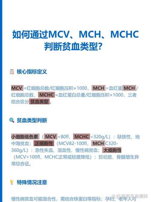mchc计算公式_1