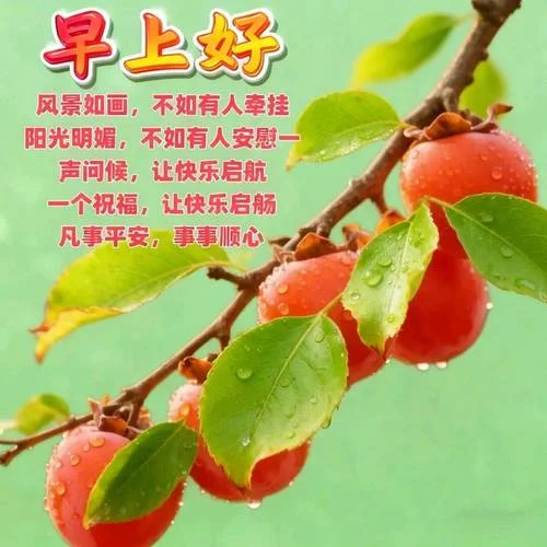 祝福寄语大全_1